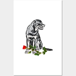 Valentines Rottweiler With Red Rose Posters and Art